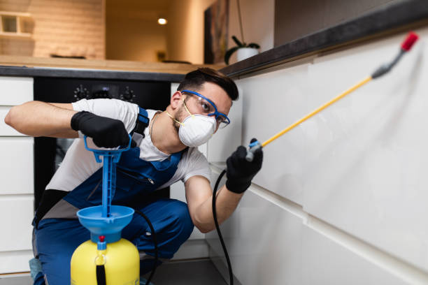 Best Insect Control  in Sloatsburg, NY