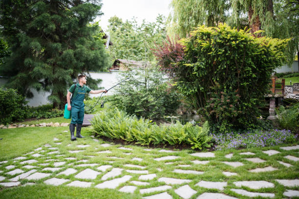Wasp Removal Services in Sloatsburg, NY