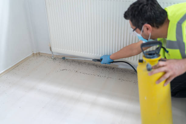 Best Flea Control Services  in Sloatsburg, NY